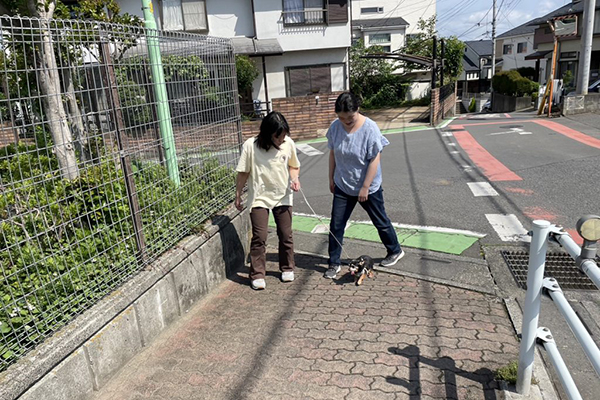 Lilyの想いと取り組み